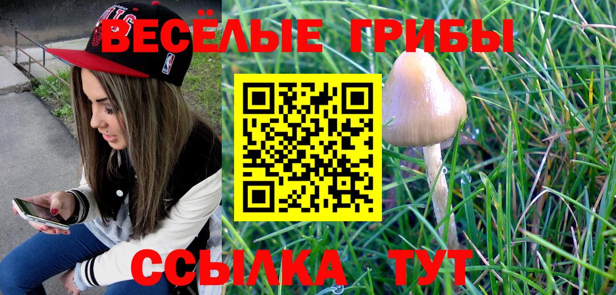 Реутов  Галлюциногенные грибы Psilocybe  Вход с VPN 